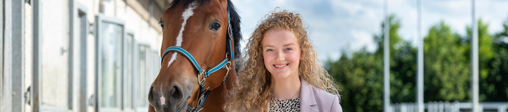 Pferdemanagement Aeres Hochschule
